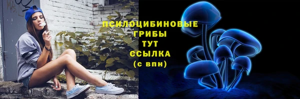 эйфоретик Алзамай