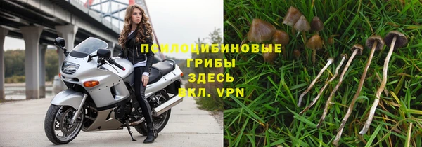 прущий лед Арсеньев