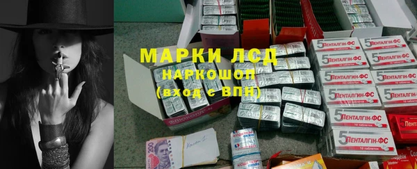 эйфоретик Алзамай