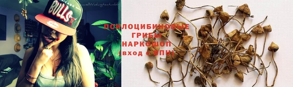 амф Алексин