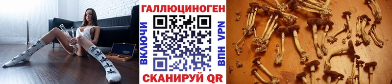 blacksprut вход  Тимашёвск  Галлюциногенные грибы прущие грибы  купить закладку 